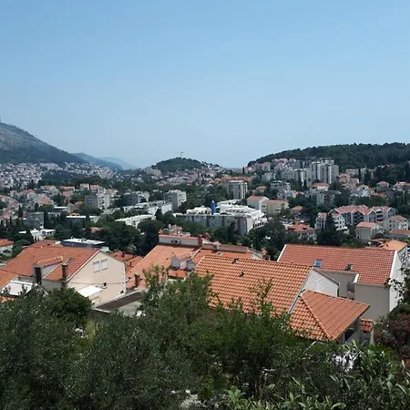 Apartman Maja *